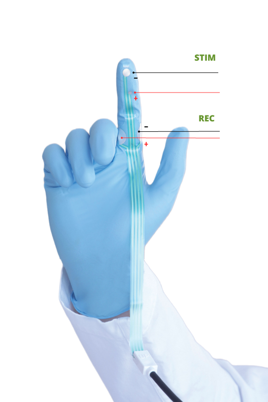 Elétrodo Pudendal SPES 30cm